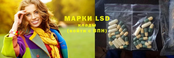 сатива Верхний Тагил