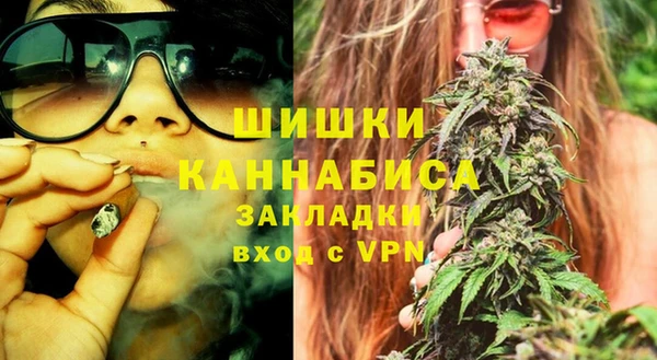 сатива Верхний Тагил